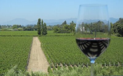 Your Guide to the Perfect Birthday Wine Tour in Livermore or Napa Valley