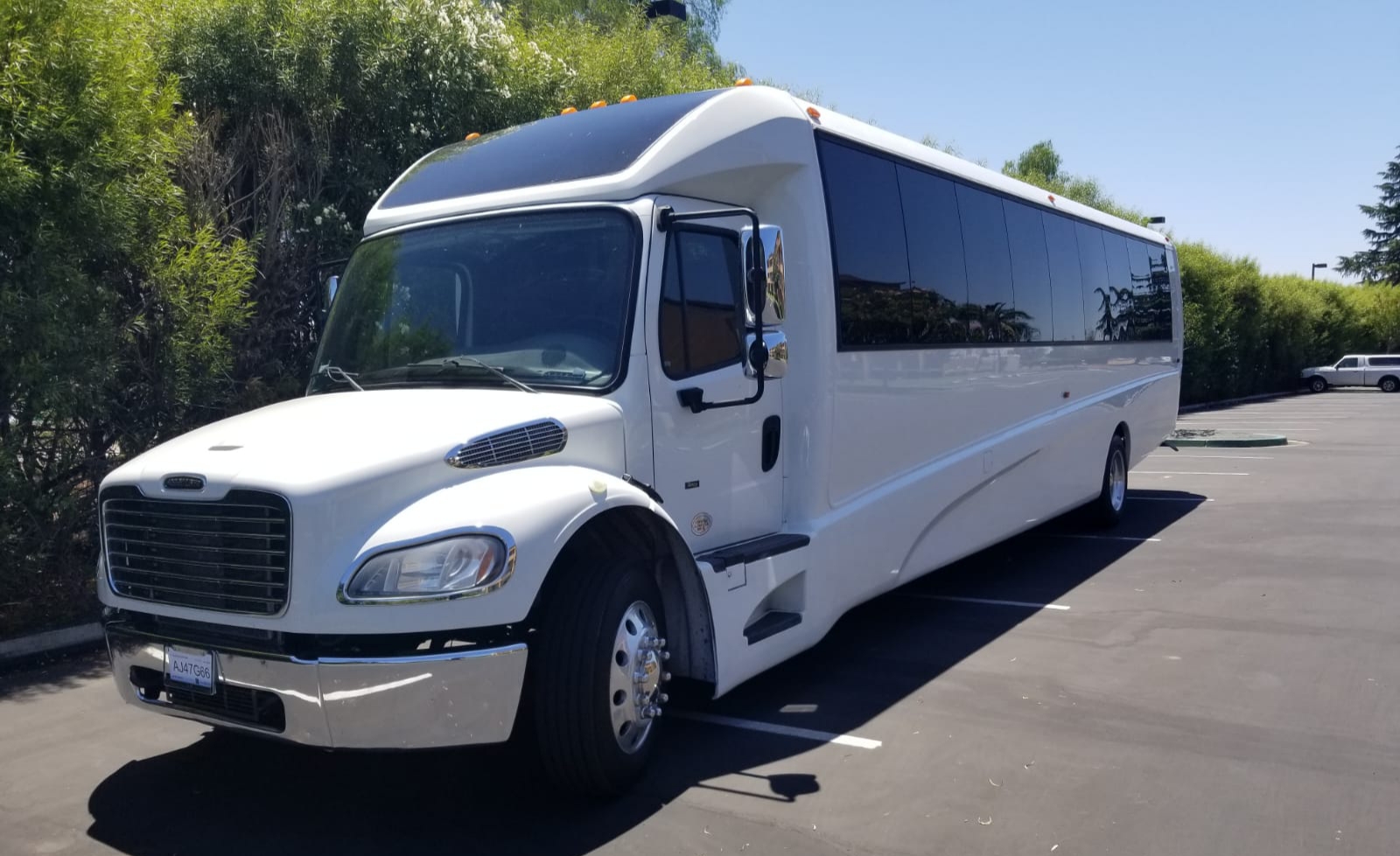 37 Passenger Executive Shuttle Bus