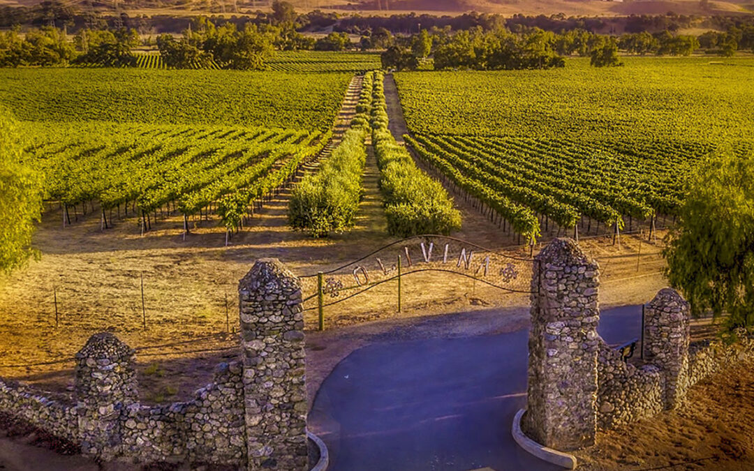 Could Livermore Valley rival Napa with a Wine Heritage District?