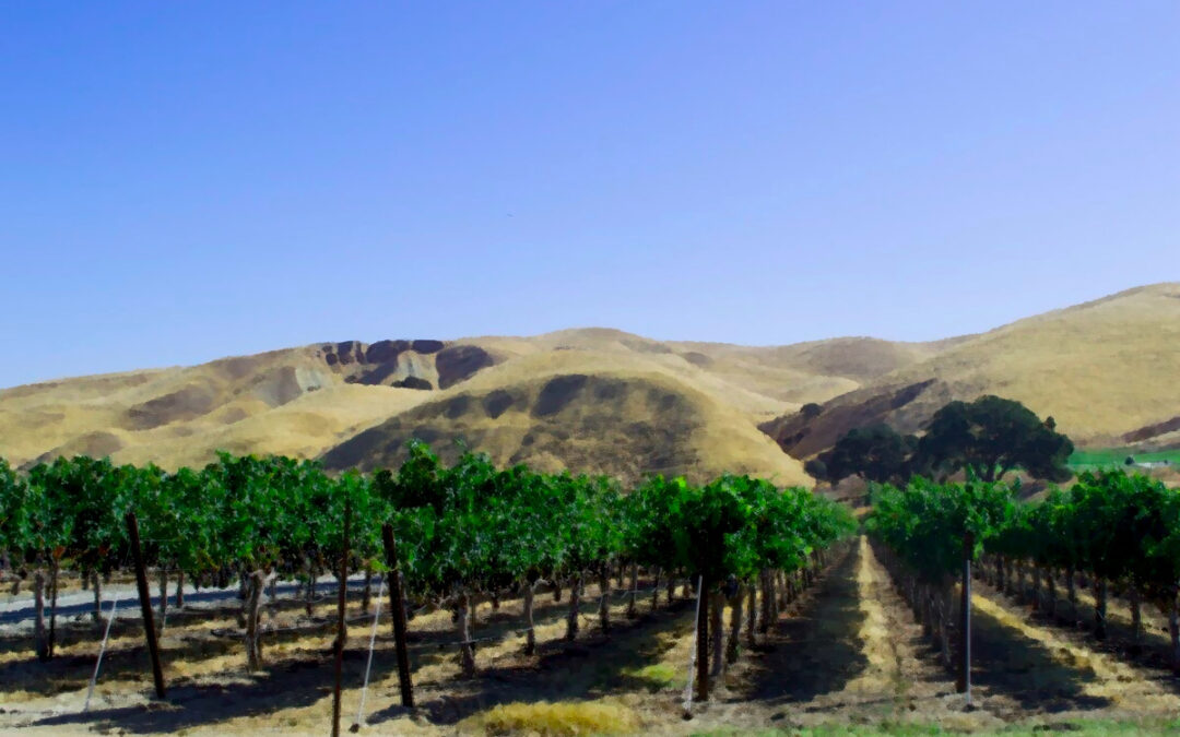 Livermore Valley’s Taste Our Terroir set to return July 14-17