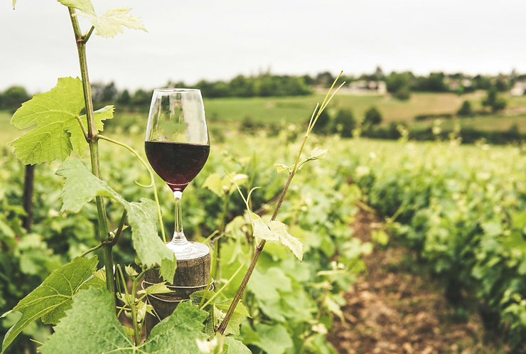 How ETS Plans Your Perfect Winery Experience