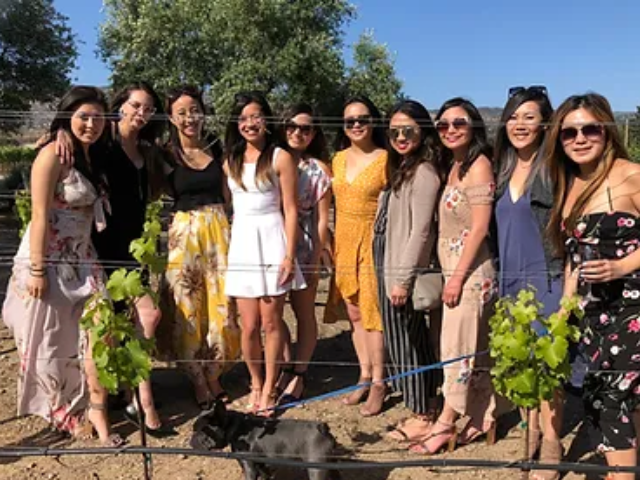 group of ladies